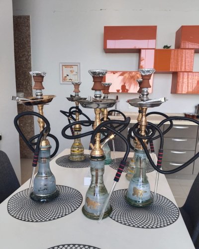 تاجير شيش المجاهد